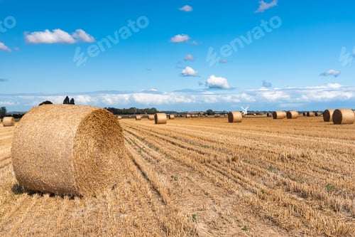 Preview: Chillenden Windmill In Kent, Uk, And Straw Bales