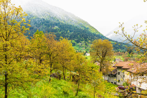 Preview: Ancient Landscapes Of Carnia. Between Spring And Winter In Sutrio. Carnia