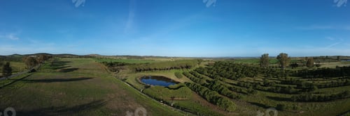 Preview: Aerial View Of Colorful Agricultural Field With A Lagoon In Spring With Blue Sky In Background