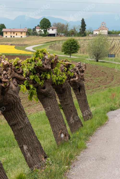 Preview: Castles And Ancient Churches On The Friuli Hills. Trip To Arcano And San Daniele Del Friuli. Udine