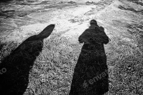 Preview: Shadow Of Couple In Field, People Texture