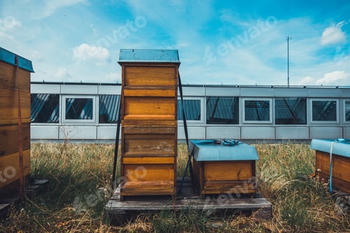 Preview: Typical Bee Hive At Rooftop Over Berlin