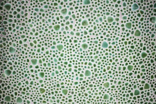 Preview: Bright Green Tile Urban Wall Construction