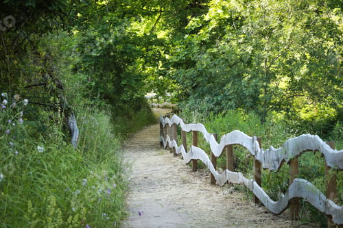 Preview: Amazing Path In The Countryside. Hiking Trail Surrounded By Vegetation And Big Trees