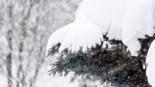Preview: Magical Atmospheres In San Candido. Snowfall.