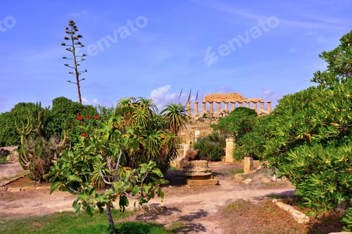 Preview: Archaeological Park Of Selinunte Castelvetrano Sicily