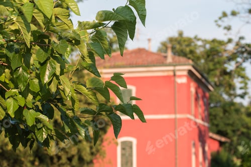 Preview: Rural Houses Of Friuli Hills