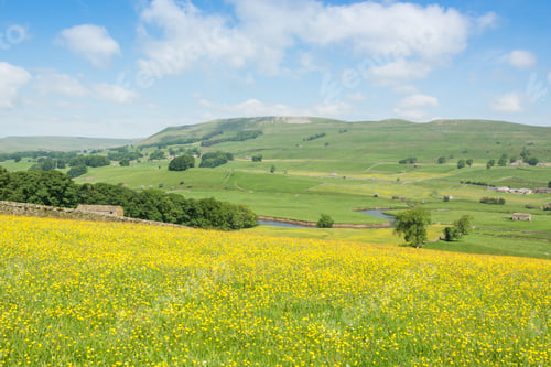 Preview: Wensleydale Hay Meadows And River Ure