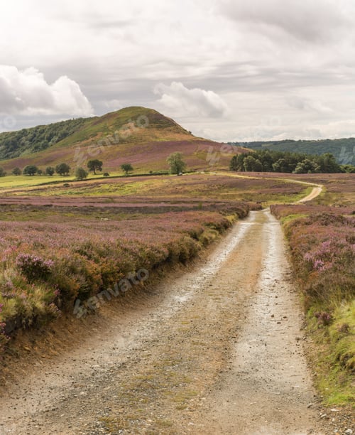 Preview: Track Across Hawnby Moor On The North York Moors