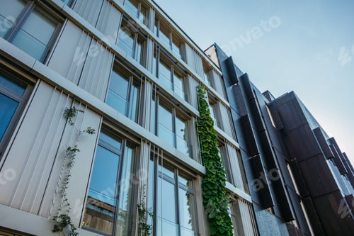 Preview: Low Angle View Of Apartment House With Ivy
