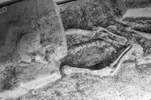 Preview: Archaeological Excavations On Land, Professional Work And History