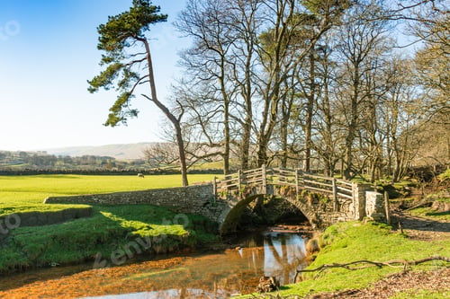Preview: Bridge Over A Steam In Wensleydale