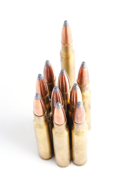 Preview: Hunting Ammunition