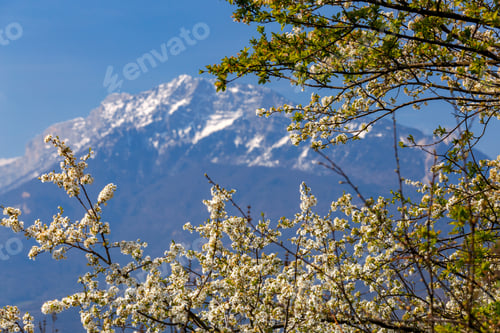 Preview: Grenoble. Mountains Over The City.
