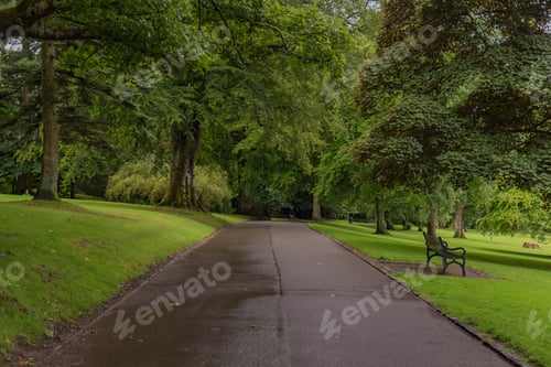 Preview: Park With Paths And Benches On Green And Wooded Lawns