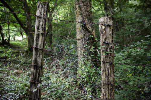Preview: Barbed Wire Fence, Jail Detail, Protection And Security