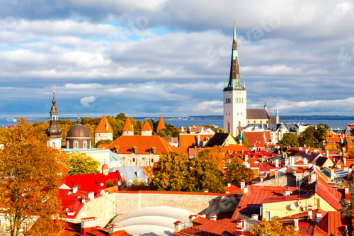 Preview: View Of The Old City Streets, Roof Tops And The Bay From The Observation Deck Of The Toompea Hill.