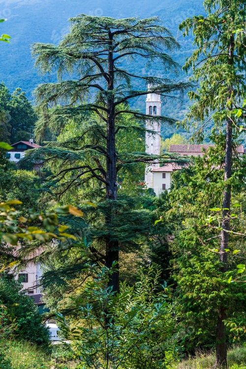 Preview: Typical Views Of The Village Of Polcenigo. At The Source Of The Livenza