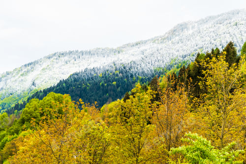 Preview: Ancient Landscapes Of Carnia. Between Spring And Winter In Sutrio. Carnia