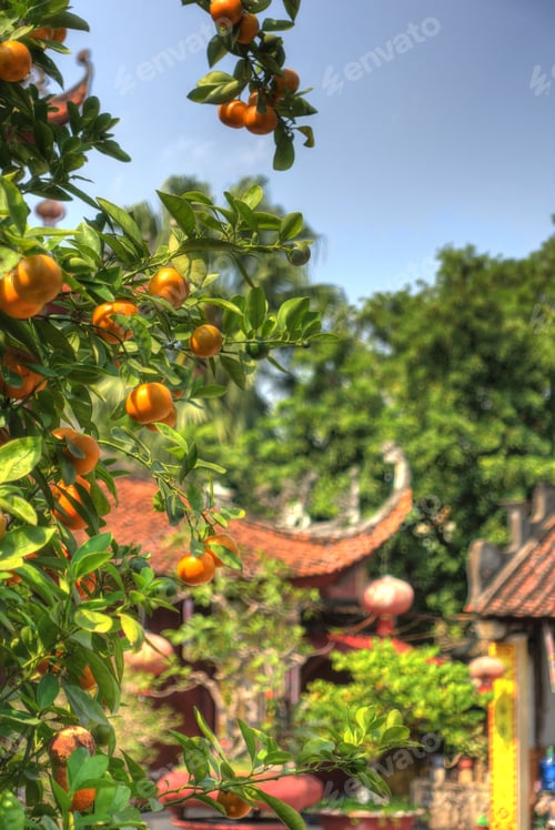 Preview: Haiphong Cityscape And Landmarks