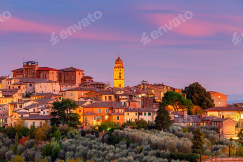 Preview: Siena. View Of The Old City District.