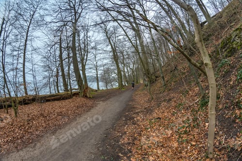 Preview: Running Next To A Lake In Early Spring