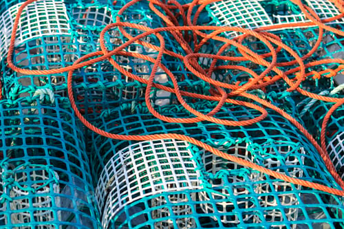 Preview: Traditional Traps For Capture Fisheries And Seafood