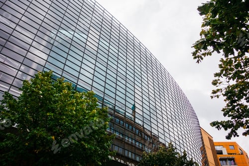 Preview: Big Glass Facade And Green Tree