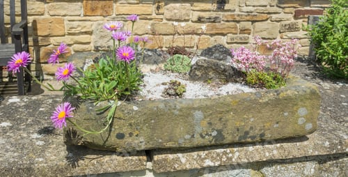 Preview: Stone Garden Sinks Planted With Alpines