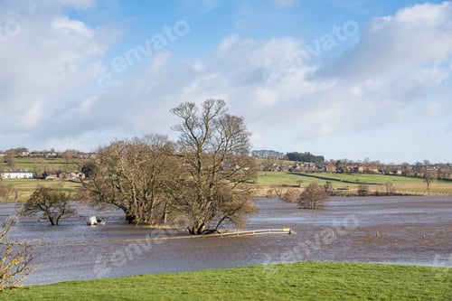 Preview: Trees In A Flooded Wensleydale
