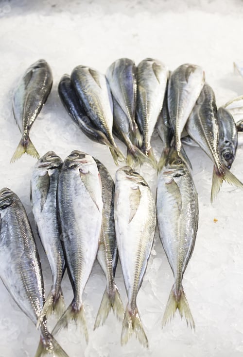 Preview: Fish In Fish Market Counter With Ice, Food