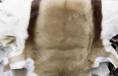 Preview: Goat Animal Skin, Leather Goods And Nature
