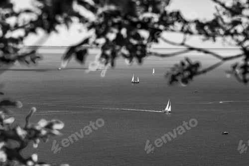 Preview: Gulf Of Trieste. High Cliffs Between Boats, Karst Rocks And Ancient Castles. Black And White