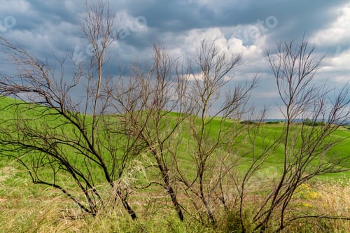 Preview: Stormy Sky In The Green Tuscany In The Province Of Siena In The Crete Senesi Park In Summer