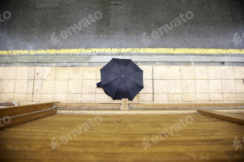Preview: Person With Umbrella On Street Raining, Nature And Walking