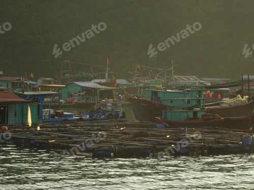 Preview: Cat Ba Town Cityscape And Landmarks, Vietnam