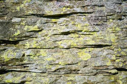 Preview: Lichen On A Rock Face