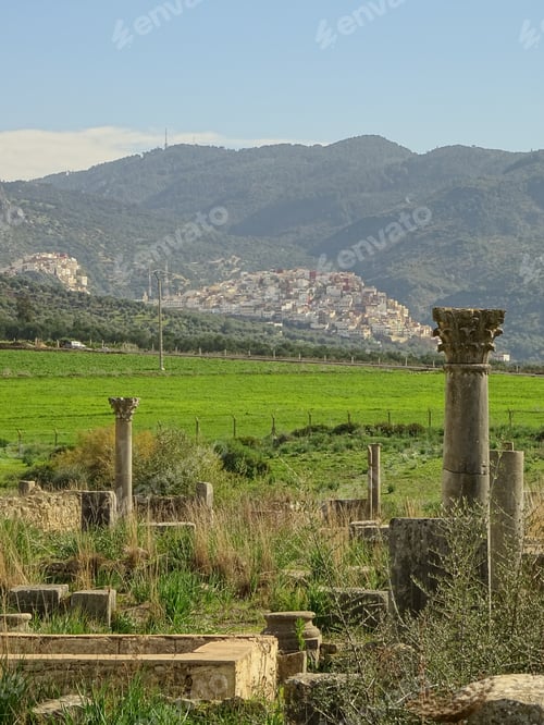 Preview: Volubilis, Morocco