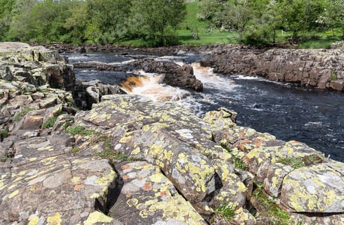 Preview: Lichens At Low Force Waterfall