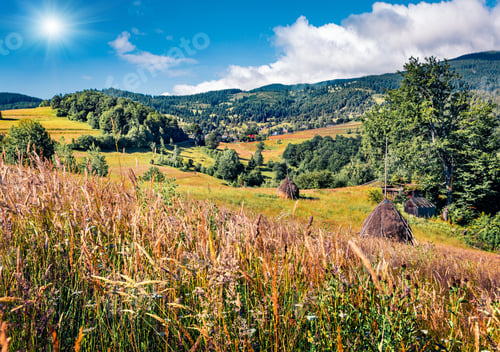 Preview: Colorful Morning Scene Of Rogojel Village. Wonderful Summer Landscape Of Cluj County, Romania