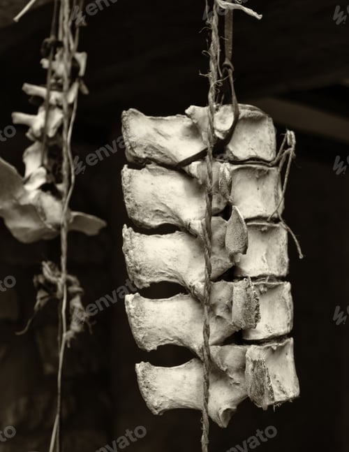 Preview: Goat Skull In Tent Of Campaign India, Animals And Symbols