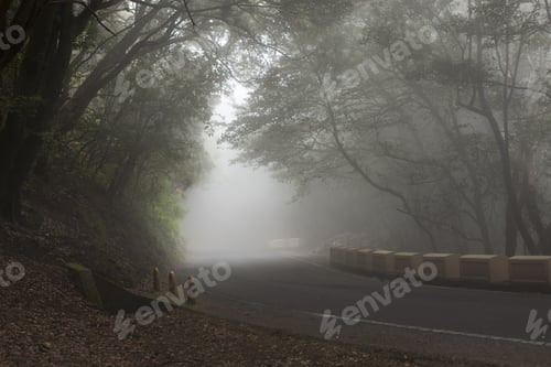 Preview: The Road On Tenerife Island, Canary Islands, Spain