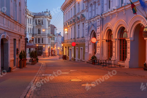 Preview: Vilnius. Night Street.