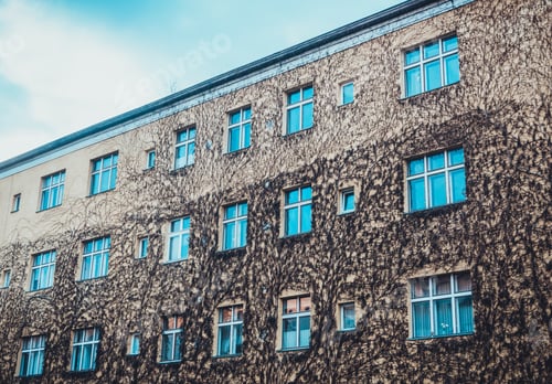 Preview: Single Face Of Brick Building With Rectangular Windows Covered In Dry Vines Outdoors