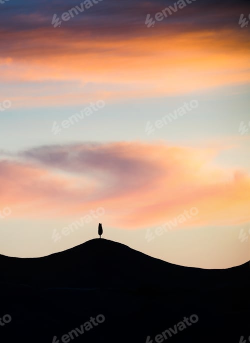 Preview: Silhouette Of Cypress Tree In Tuscany. Dramatic Spring Sunrise In Italian Countryside. Impressive