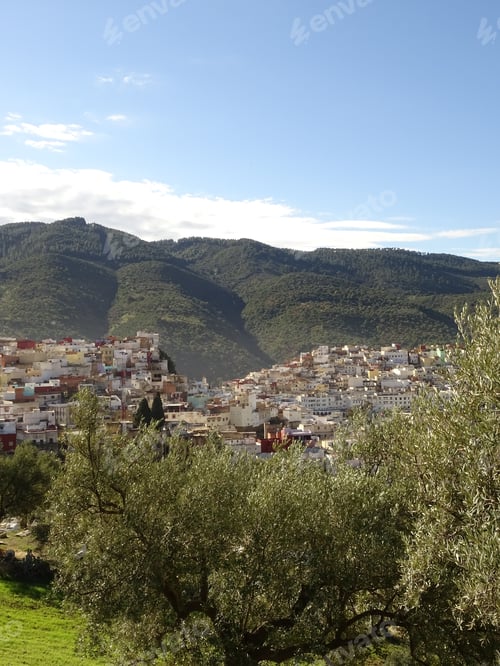 Preview: Moulay Idriss, City, Morocco