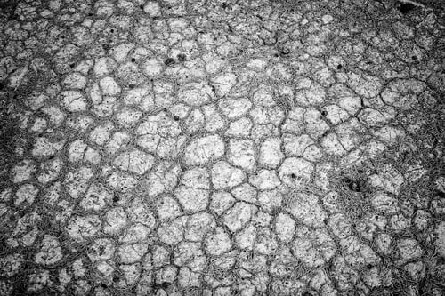 Preview: Cracked Earth In Dry Field Nature