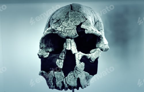 Preview: Human Skull Head In Laboratory, Experiment And Science