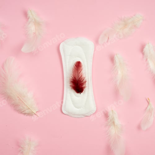 Preview: One Pad With Red Feather In The Centre, White Feathers On Pink Background. - Image
