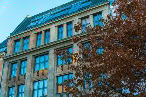 Preview: Orange Brick Office Building With Autumn Tree On The Left Side